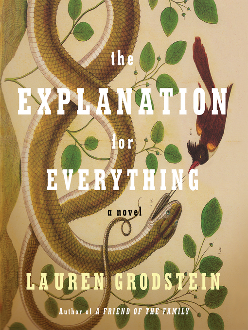 Title details for The Explanation for Everything by Lauren Grodstein - Available
